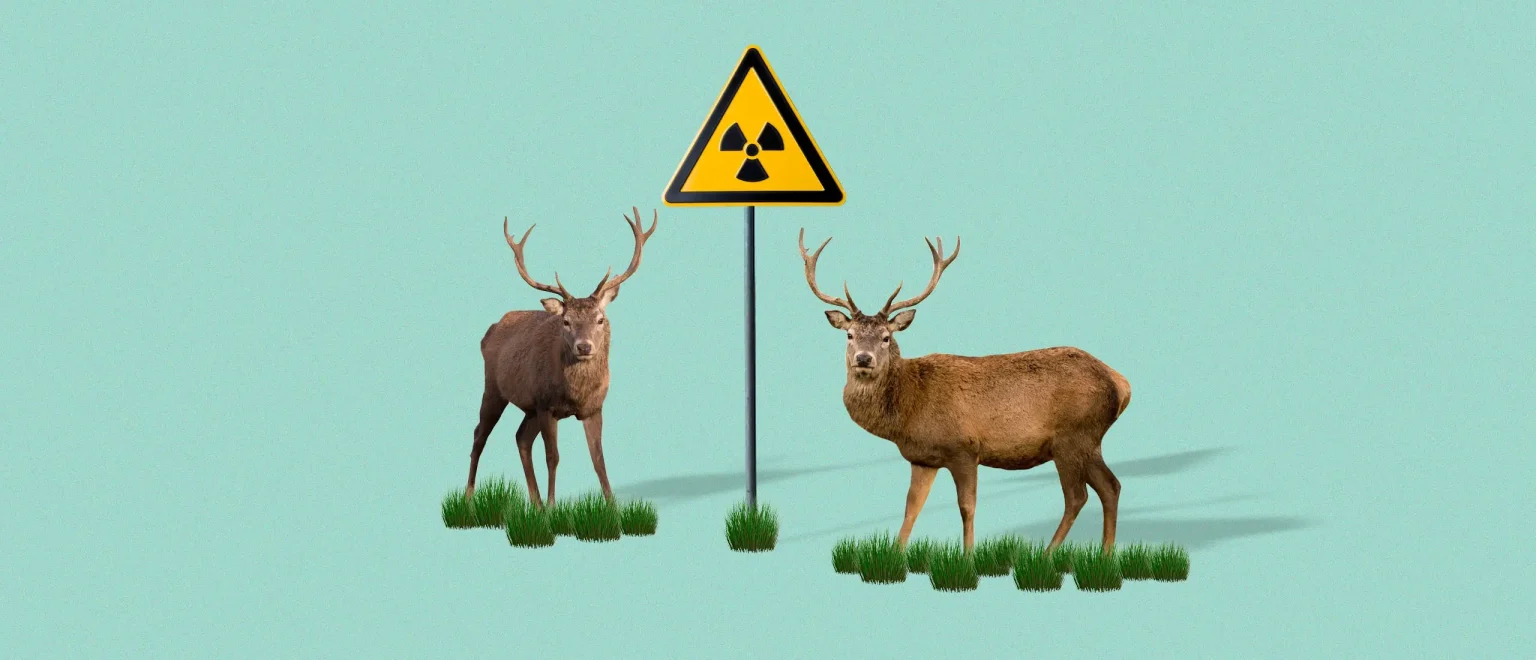 deer standing in grass with a toxic warning sign