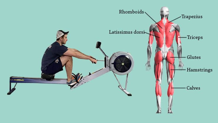 man performing the catch of rowing machine motion