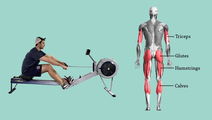man performing the recovery of rowing machine motion