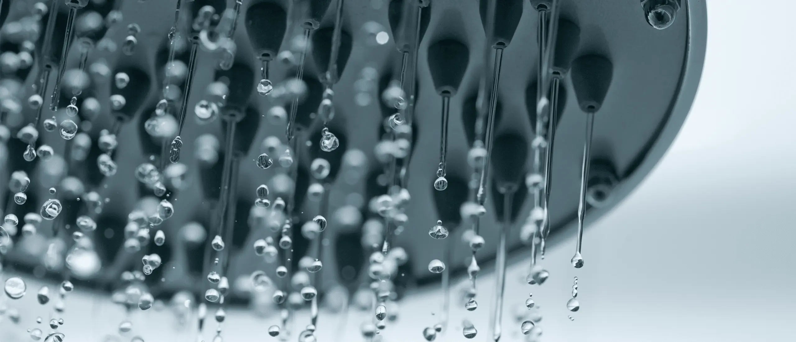 close up photo of a shower releasing water