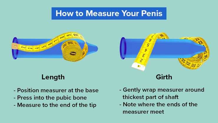 How to Measure Your Penis graphic
