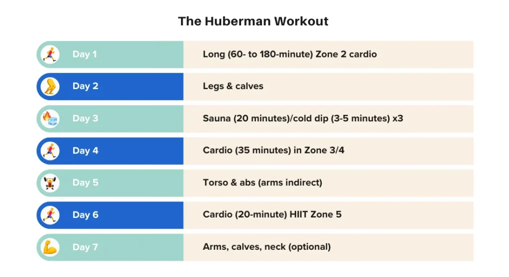 Huberman's fitness protocol detailed in a full weekly chart