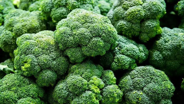 multiple heads of broccoli 